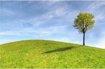 華榮華電子——2021“清明節”放假通知 alt=